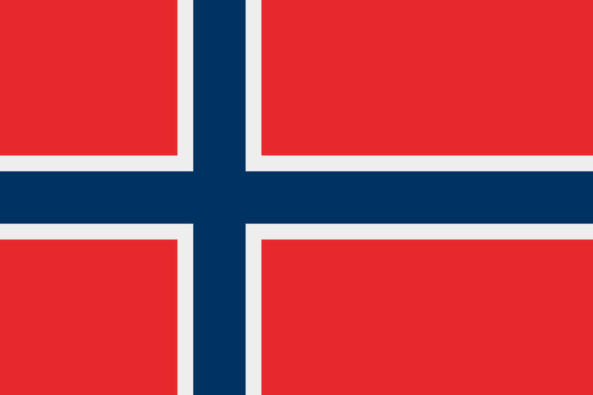 vecteezy_norwegian-flag-vector-icon-the-flag-of-norway_5720315